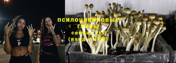 метадон Магадан
