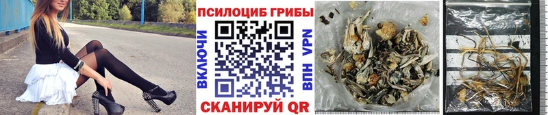 Псилоцибиновые грибы GOLDEN TEACHER Суворов