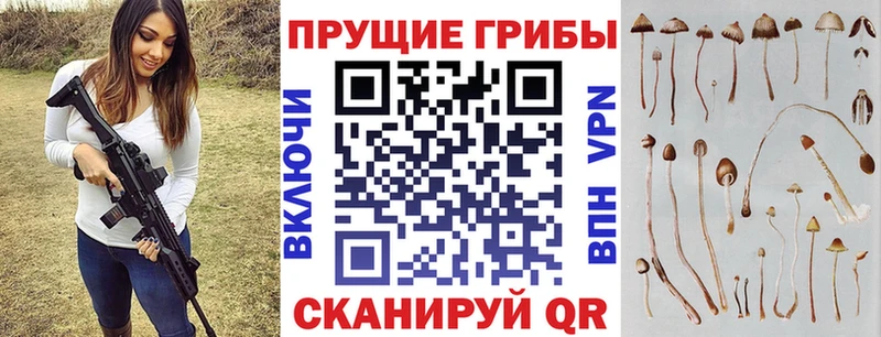 Галлюциногенные грибы GOLDEN TEACHER Суворов