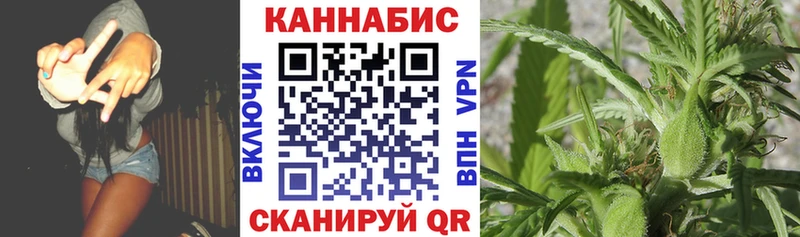 наркотики  Суворов  Бошки Шишки гибрид 